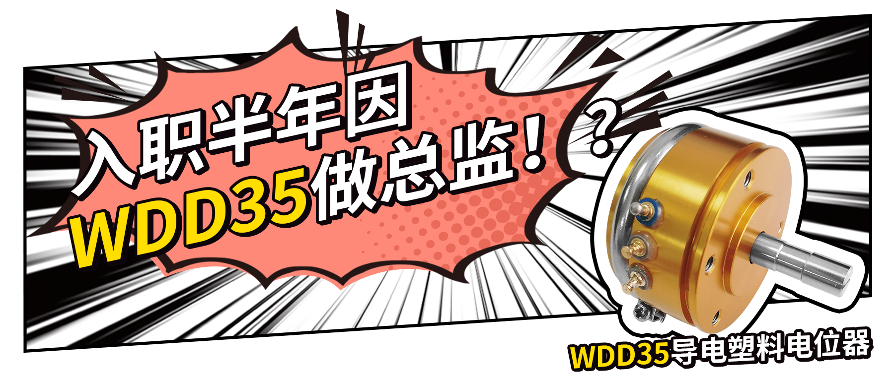 入職半年因WDD35做總監(jiān)？！